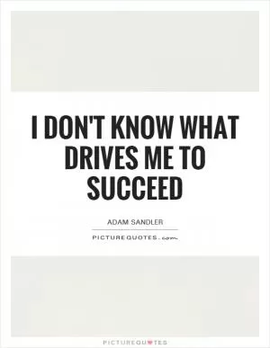 I don't know what drives me to succeed Picture Quote #1