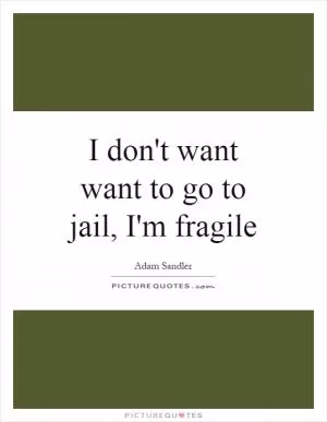 I don't want want to go to jail, I'm fragile Picture Quote #1