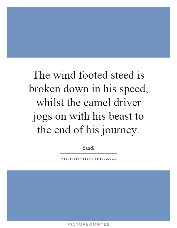 The wind footed steed is broken down in his speed, whilst the camel driver jogs on with his beast to the end of his journey Picture Quote #1