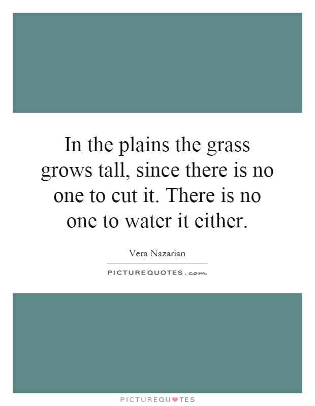 In the plains the grass grows tall, since there is no one to cut it. There is no one to water it either Picture Quote #1