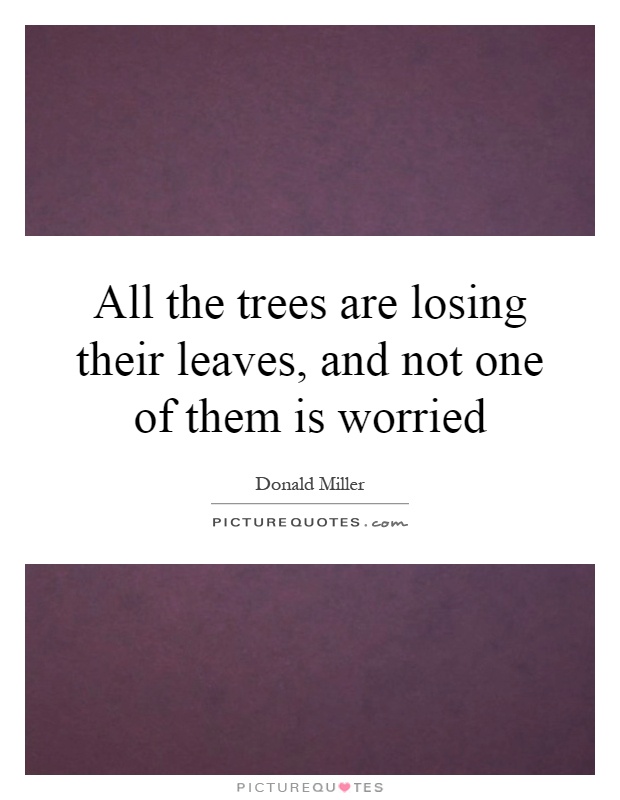 All the trees are losing their leaves, and not one of them is worried Picture Quote #1