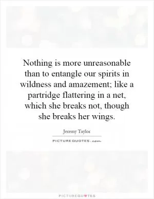 Nothing is more unreasonable than to entangle our spirits in wildness and amazement; like a partridge flattering in a net, which she breaks not, though she breaks her wings Picture Quote #1