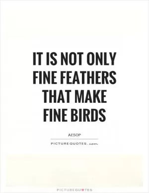 It is not only fine feathers that make fine birds Picture Quote #1