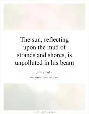 The sun, reflecting upon the mud of strands and shores, is unpolluted in his beam Picture Quote #1