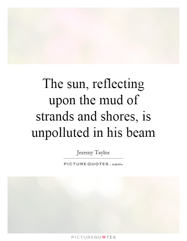 The sun, reflecting upon the mud of strands and shores, is unpolluted in his beam Picture Quote #1