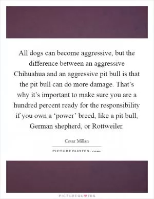 All dogs can become aggressive, but the difference between an aggressive Chihuahua and an aggressive pit bull is that the pit bull can do more damage. That’s why it’s important to make sure you are a hundred percent ready for the responsibility if you own a ‘power’ breed, like a pit bull, German shepherd, or Rottweiler Picture Quote #1