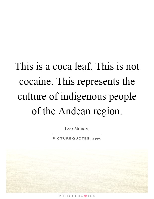 This is a coca leaf. This is not cocaine. This represents the culture of indigenous people of the Andean region Picture Quote #1