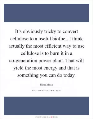 It’s obviously tricky to convert cellulose to a useful biofuel. I think actually the most efficient way to use cellulose is to burn it in a co-generation power plant. That will yield the most energy and that is something you can do today Picture Quote #1