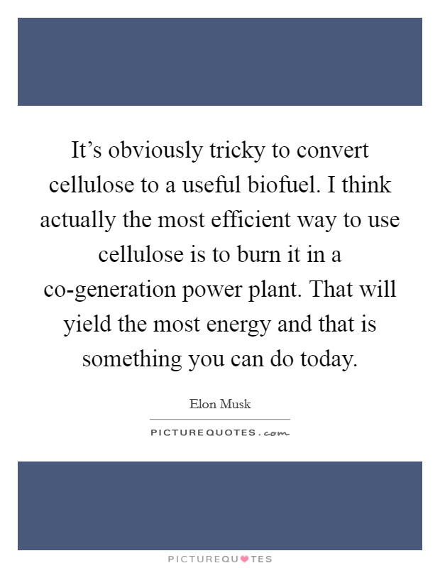 It's obviously tricky to convert cellulose to a useful biofuel. I think actually the most efficient way to use cellulose is to burn it in a co-generation power plant. That will yield the most energy and that is something you can do today Picture Quote #1