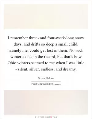 I remember three- and four-week-long snow days, and drifts so deep a small child, namely me, could get lost in them. No such winter exists in the record, but that’s how Ohio winters seemed to me when I was little - silent, silver, endless, and dreamy Picture Quote #1