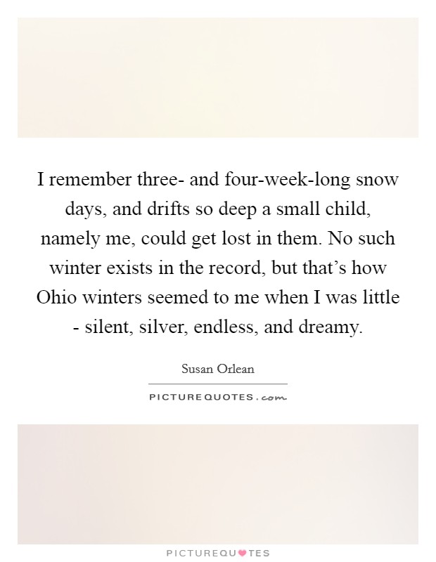 I remember three- and four-week-long snow days, and drifts so deep a small child, namely me, could get lost in them. No such winter exists in the record, but that's how Ohio winters seemed to me when I was little - silent, silver, endless, and dreamy Picture Quote #1