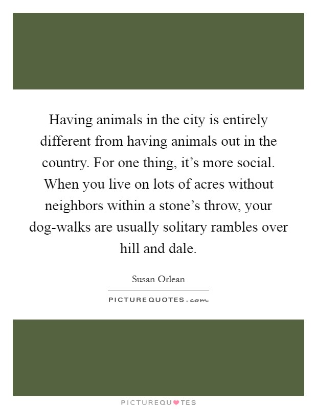 Having animals in the city is entirely different from having animals out in the country. For one thing, it's more social. When you live on lots of acres without neighbors within a stone's throw, your dog-walks are usually solitary rambles over hill and dale Picture Quote #1