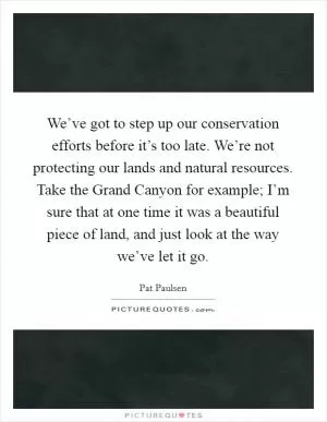 We’ve got to step up our conservation efforts before it’s too late. We’re not protecting our lands and natural resources. Take the Grand Canyon for example; I’m sure that at one time it was a beautiful piece of land, and just look at the way we’ve let it go Picture Quote #1