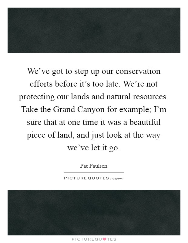 We've got to step up our conservation efforts before it's too late. We're not protecting our lands and natural resources. Take the Grand Canyon for example; I'm sure that at one time it was a beautiful piece of land, and just look at the way we've let it go Picture Quote #1