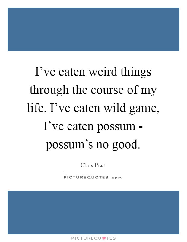 I've eaten weird things through the course of my life. I've eaten wild game, I've eaten possum - possum's no good Picture Quote #1