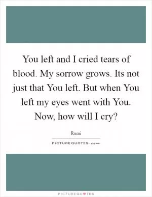 You left and I cried tears of blood. My sorrow grows. Its not just that You left. But when You left my eyes went with You. Now, how will I cry? Picture Quote #1