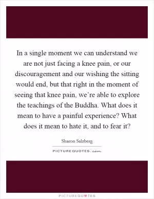 In a single moment we can understand we are not just facing a knee pain, or our discouragement and our wishing the sitting would end, but that right in the moment of seeing that knee pain, we’re able to explore the teachings of the Buddha. What does it mean to have a painful experience? What does it mean to hate it, and to fear it? Picture Quote #1