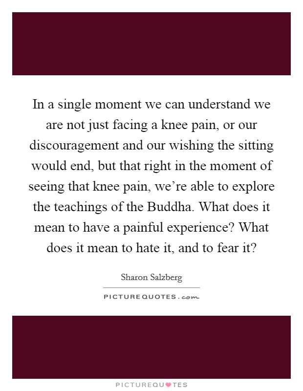 In a single moment we can understand we are not just facing a knee pain, or our discouragement and our wishing the sitting would end, but that right in the moment of seeing that knee pain, we're able to explore the teachings of the Buddha. What does it mean to have a painful experience? What does it mean to hate it, and to fear it? Picture Quote #1