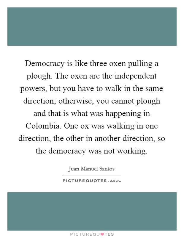 Democracy is like three oxen pulling a plough. The oxen are the independent powers, but you have to walk in the same direction; otherwise, you cannot plough and that is what was happening in Colombia. One ox was walking in one direction, the other in another direction, so the democracy was not working Picture Quote #1
