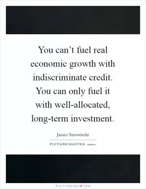 You can’t fuel real economic growth with indiscriminate credit. You can only fuel it with well-allocated, long-term investment Picture Quote #1