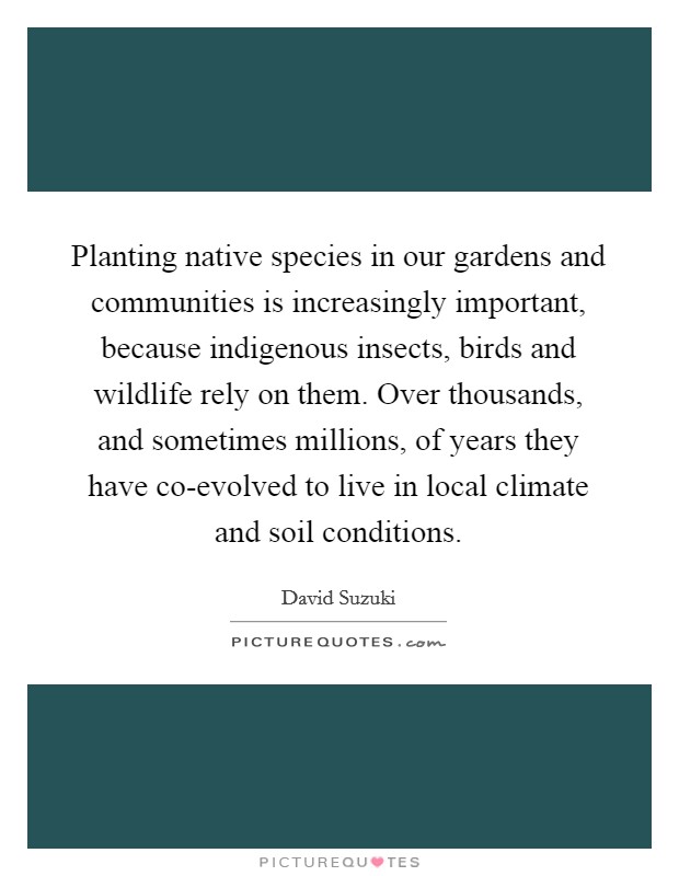 Planting native species in our gardens and communities is increasingly important, because indigenous insects, birds and wildlife rely on them. Over thousands, and sometimes millions, of years they have co-evolved to live in local climate and soil conditions Picture Quote #1