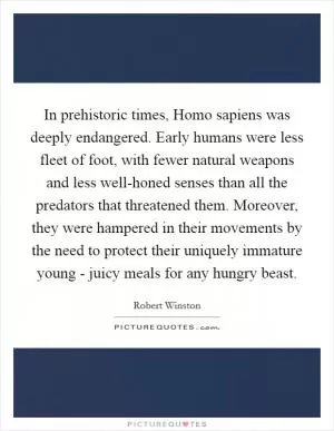 In prehistoric times, Homo sapiens was deeply endangered. Early humans were less fleet of foot, with fewer natural weapons and less well-honed senses than all the predators that threatened them. Moreover, they were hampered in their movements by the need to protect their uniquely immature young - juicy meals for any hungry beast Picture Quote #1
