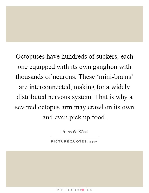 Octopuses have hundreds of suckers, each one equipped with its own ganglion with thousands of neurons. These ‘mini-brains' are interconnected, making for a widely distributed nervous system. That is why a severed octopus arm may crawl on its own and even pick up food Picture Quote #1