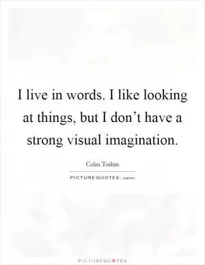 I live in words. I like looking at things, but I don’t have a strong visual imagination Picture Quote #1