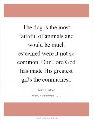 The dog is the most faithful of animals and would be much esteemed were it not so common. Our Lord God has made His greatest gifts the commonest Picture Quote #1