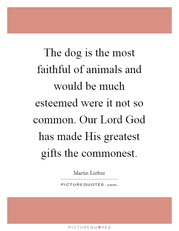 The dog is the most faithful of animals and would be much esteemed were it not so common. Our Lord God has made His greatest gifts the commonest Picture Quote #1