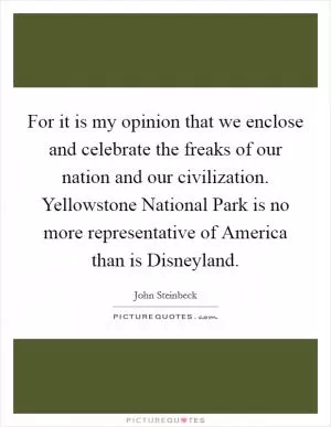 For it is my opinion that we enclose and celebrate the freaks of our nation and our civilization. Yellowstone National Park is no more representative of America than is Disneyland Picture Quote #1