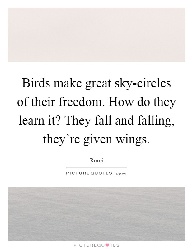 Birds make great sky-circles of their freedom. How do they learn it? They fall and falling, they're given wings Picture Quote #1