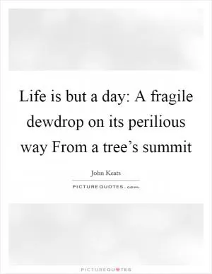 Life is but a day: A fragile dewdrop on its perilious way From a tree’s summit Picture Quote #1