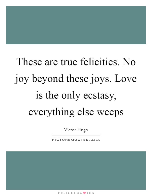 These are true felicities. No joy beyond these joys. Love is the only ecstasy, everything else weeps Picture Quote #1