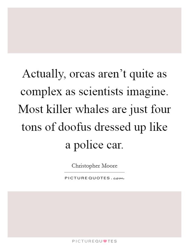 Actually, orcas aren't quite as complex as scientists imagine. Most killer whales are just four tons of doofus dressed up like a police car Picture Quote #1