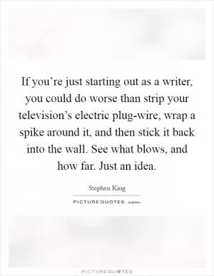 If you’re just starting out as a writer, you could do worse than strip your television’s electric plug-wire, wrap a spike around it, and then stick it back into the wall. See what blows, and how far. Just an idea Picture Quote #1