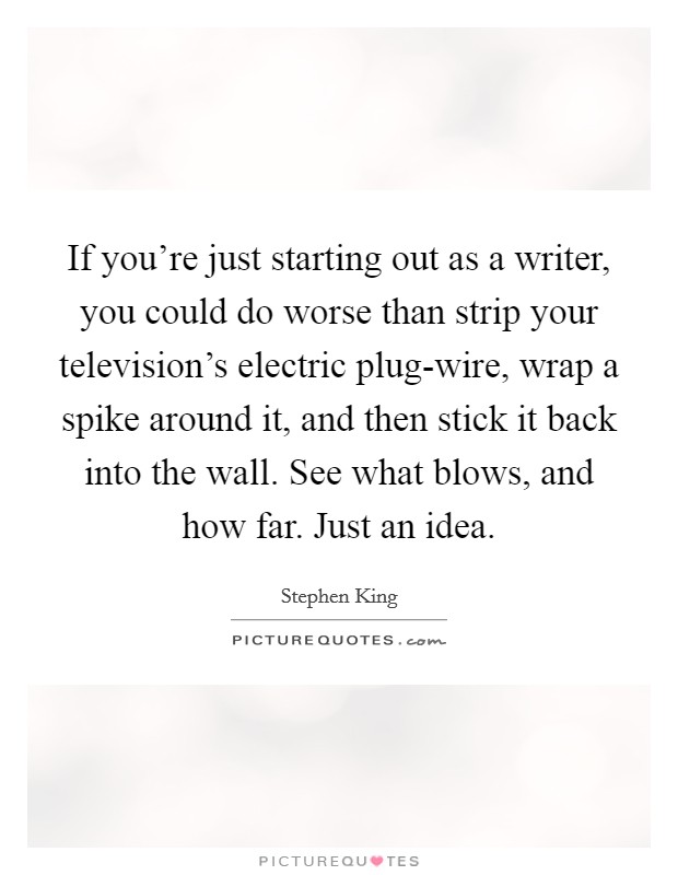 If you're just starting out as a writer, you could do worse than strip your television's electric plug-wire, wrap a spike around it, and then stick it back into the wall. See what blows, and how far. Just an idea Picture Quote #1