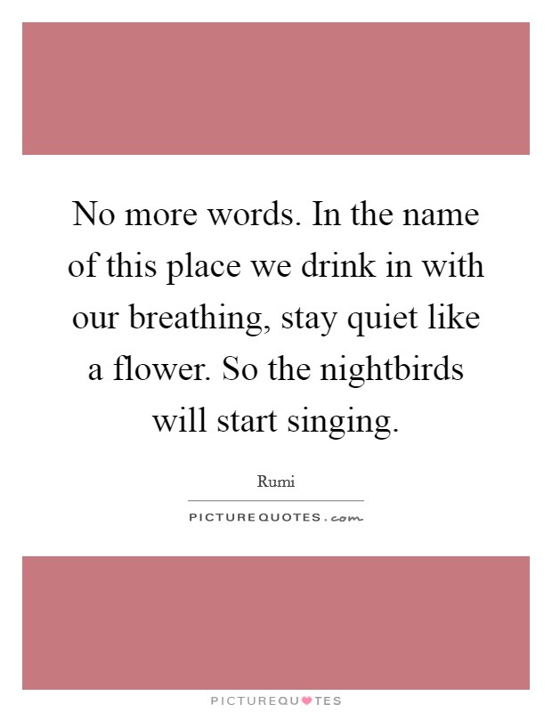 No more words. In the name of this place we drink in with our breathing, stay quiet like a flower. So the nightbirds will start singing Picture Quote #1