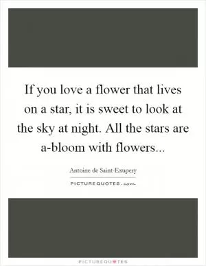 If you love a flower that lives on a star, it is sweet to look at the sky at night. All the stars are a-bloom with flowers Picture Quote #1