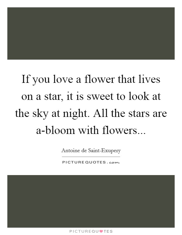 If you love a flower that lives on a star, it is sweet to look at the sky at night. All the stars are a-bloom with flowers Picture Quote #1