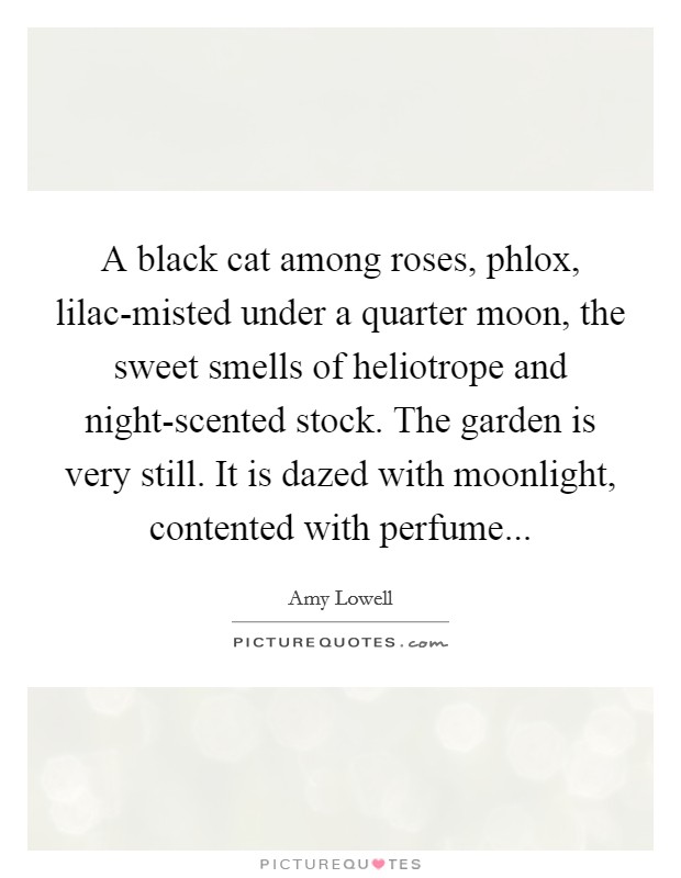A black cat among roses, phlox, lilac-misted under a quarter moon, the sweet smells of heliotrope and night-scented stock. The garden is very still. It is dazed with moonlight, contented with perfume Picture Quote #1
