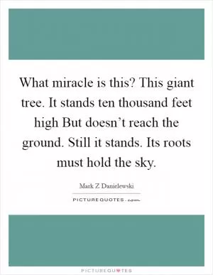 What miracle is this? This giant tree. It stands ten thousand feet high But doesn’t reach the ground. Still it stands. Its roots must hold the sky Picture Quote #1