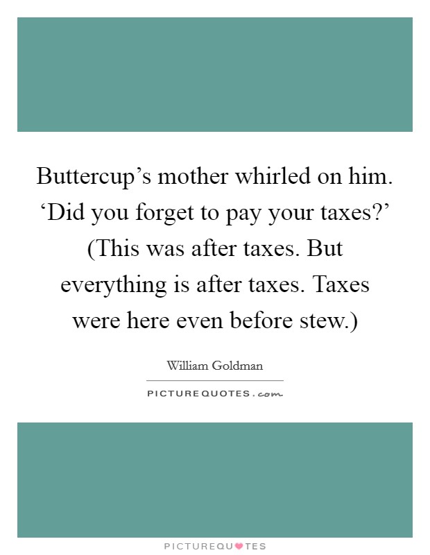 Buttercup's mother whirled on him. ‘Did you forget to pay your taxes?' (This was after taxes. But everything is after taxes. Taxes were here even before stew.) Picture Quote #1