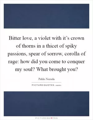Bitter love, a violet with it’s crown of thorns in a thicet of spiky passions, spear of sorrow, corolla of rage: how did you come to conquer my soul? What brought you? Picture Quote #1