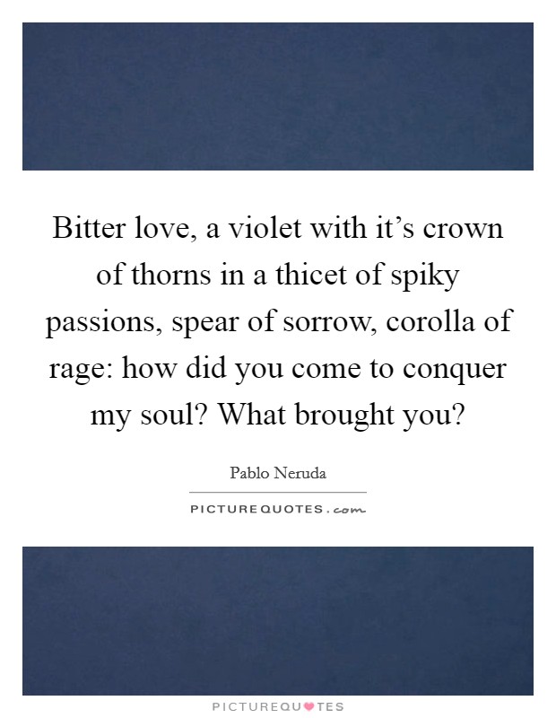 Bitter love, a violet with it's crown of thorns in a thicet of spiky passions, spear of sorrow, corolla of rage: how did you come to conquer my soul? What brought you? Picture Quote #1
