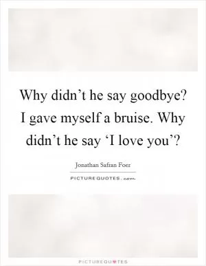 Why didn’t he say goodbye? I gave myself a bruise. Why didn’t he say ‘I love you’? Picture Quote #1
