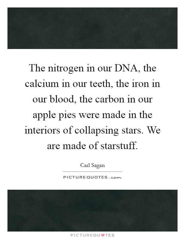 The nitrogen in our DNA, the calcium in our teeth, the iron in our blood, the carbon in our apple pies were made in the interiors of collapsing stars. We are made of starstuff Picture Quote #1