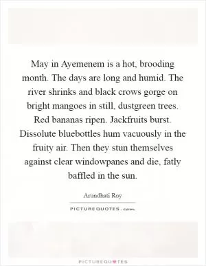 May in Ayemenem is a hot, brooding month. The days are long and humid. The river shrinks and black crows gorge on bright mangoes in still, dustgreen trees. Red bananas ripen. Jackfruits burst. Dissolute bluebottles hum vacuously in the fruity air. Then they stun themselves against clear windowpanes and die, fatly baffled in the sun Picture Quote #1