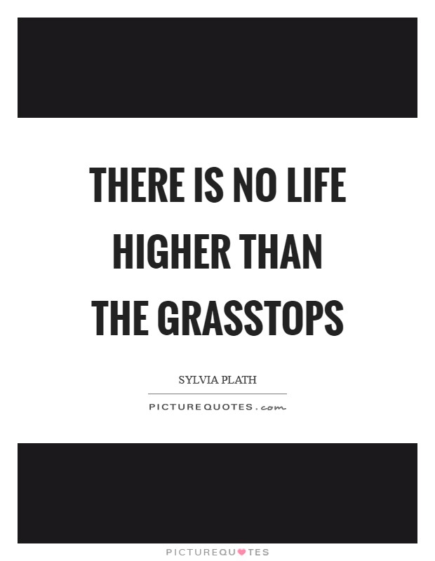 There is no life higher than the grasstops Picture Quote #1