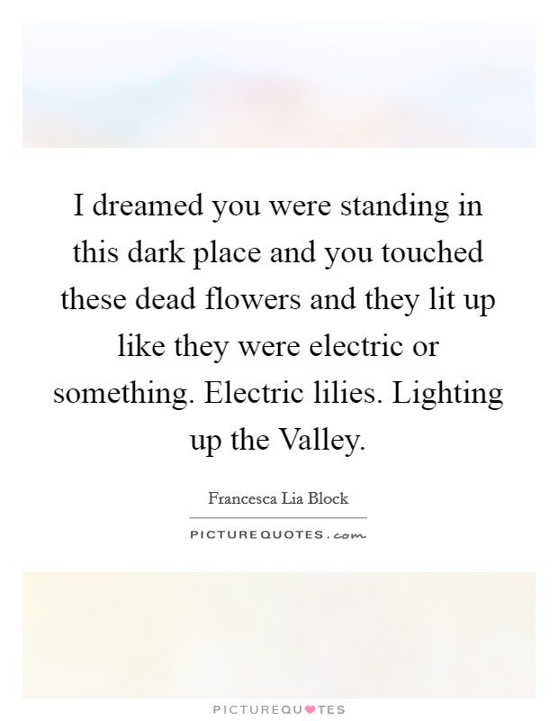 I dreamed you were standing in this dark place and you touched these dead flowers and they lit up like they were electric or something. Electric lilies. Lighting up the Valley Picture Quote #1
